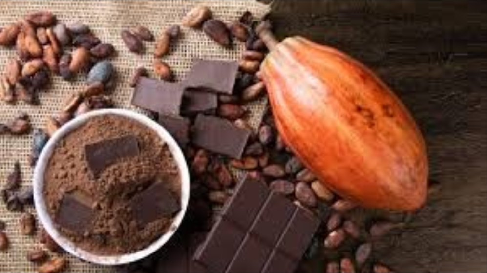 El cacao, con sus flavanoles, es un antioxidante que estimula las células madre para reparar tejidos, según un científico de Harvard